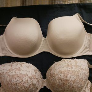 2  Beautiful Torrid Bras